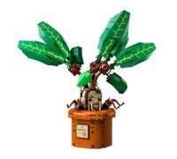 LEGO 76433 - LEGO® Harry Potter™ - planta de la raza mágica: Alr
