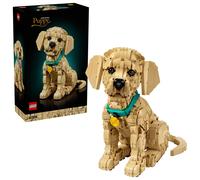 LEGO Icons Cachorro de Golden Retriever - Kit de Maquetas 3D para Adultos - Figura Articulada de Perro con Collar y Medallón - Decoración para Estantería y Escritorio - Regalo de Manualidades - 11384