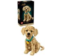 LEGO Icons Cachorro de Golden Retriever - Kit de Maquetas 3D para Adultos - Figura Articulada de Perro con Collar y Medallón - Decoración para Estantería y Escritorio - Regalo de Manualidades - 11384