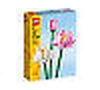 Flores de Loto