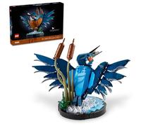 LEGO Icons Kingfisher - Juego de construcción - Juego de modelo detallado para adultos, mayores de 18 años - Actividad coleccionable y relajante para los amantes de las aves - Regalo para hombres y