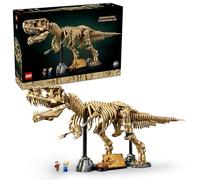 Fósiles de Dinosaurio: Tyrannosaurus rex