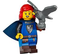 LEGO Minifiguras coleccionables Serie 24 - Falconer con soporte y accesorios 71037