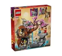 LEGO® NINJAGO 71819 Templo de la Piedra Dragón