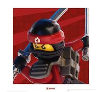 Lego Ninjago película Kai Arte impresión de Cultivos, Multicolor