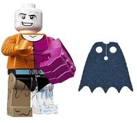 LEGO Serie DC Super Heroes: Minifigura Metamorpho (71026)