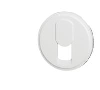 Legrand 068237 Céliane - Tapacubos para conector de teléfono para red mixta y básica, color blanco