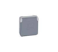 Legrand 069553 Plexo - Toma de corriente estanca (2P + T, con destroceador, IP55, 16 A, 250 V), color gris