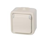 Legrand, 191507 - Enchufe De Pared Doble, Enchufe Estanco De Superficie De La Gama Plexo, Enchufe Exterior Doble, Resistente Al Agua (Ip55), Color Gris