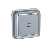 Legrand, 191511 Plexo - Interruptor de pared luminoso, pulsador estanco de superficie de la gama Plexo, interruptor exterior, resistente al agua (IP55), color gris
