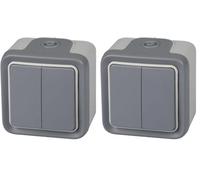 Legrand, 191514 Plexo - Interruptor de pared doble, pulsador estanco de superficie de la gama Plexo, interruptor exterior doble, resistente al agua (IP55), color gris (Paquete de 2)
