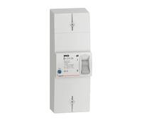Legrand 401006 Enedis - Disyuntor de conexión bipolar diferencial, 500 mA, intensidad selectiva 60 A