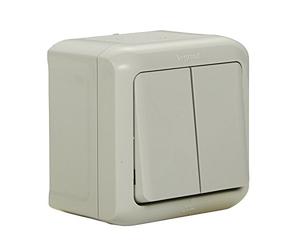 Legrand 782381 Forix - Interruptor doble montado en superficie a prueba de humedad A prueba de salpicaduras (IP44), Se monta en la pared - Blanco estándar