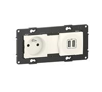 legrand BTAL31DD - Toma de corriente de 16 A + cargador doble USB de 2,4 A precableado, con conexión de terminales automáticos, acabado Nieve BTAL31DD, color negro