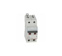 Legrand DX3 408018 - Disyuntor bipolar 32 A, 2P Curva D - 6/10 kA, tornillo