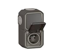 Legrand - Enchufe impermeable y interruptor de palanca, precableado, Plexo para instalación vertical, completo para montaje en superficie, antracita