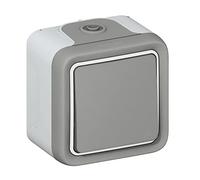 Legrand LEG69901 Plexo - Interruptor completo, color gris