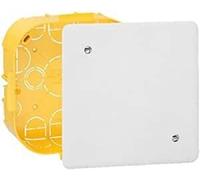 Legrand LEG91995 - Caja de derivación con placa y tornillos (160 x 105 x 40 mm)