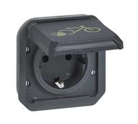 LEGRAND, Plexo 069886L - Toma de corriente para carga de bicicletas eléctricas, 16 A - 250 V, protección contra contactos, icono de bicicleta, IP 44 - IK 08, color antracita