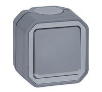 LEGRAND, Plexo New 069726L - Interruptor de 2 polos con función de control, indicador integrado, IP55 - IK07, 10 A, 250 V, color gris