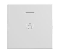 LEGRAND, SEANO 765116 - Interruptor basculante con símbolo de luz para interruptor iluminado, pulsador e interruptor de cruz, cubierta de interruptor, placa basculante, color: aluminio lacado, 765116