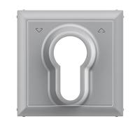 LEGRAND, Seano 765234 - Cubierta para llave de persiana con semicilindro DIN, color aluminio lacado