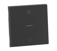 LEGRAND, SEANO 765410 - Interruptor de 2 pines con ventana de iluminación, incluye símbolo O/I (apagado/encendido), cubierta del interruptor, placa basculante, color antracita lacado