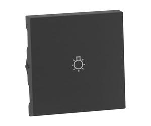 LEGRAND, SEANO 765413 - Interruptor basculante con símbolo de luz para interruptor de cambio, pulsador y interruptor de cruz, cubierta de interruptor, placa basculante, color: aluminio lacado, 765413