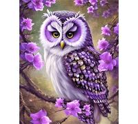 Lehaha Diamond Painting Kit Completo Or Adults,Pintura Diamante Por NiñOs,5d Diamond Art Kits Kids,Conjunto De Punto De Cruz,Dibujos Con Diamantes Para Regalos,búho(30x40cm)