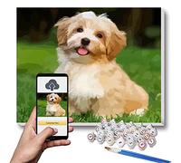 Lehaha Personalizados para Pintar por números Kits para Adultos,kits profesionales de pintura de mascotas y retratos, haga su propia foto con pinturas y pinceles para dibujar，40 x 50cm（Con Marco）