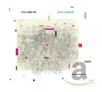 Lehman,Steve Trio - Dialect Fluorescent