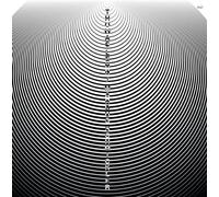 Lehn Thomas & Schmickler Marcus - Live Double Stance (Antaa Kalojen Uida) [Vinilo]