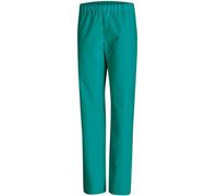 Leiber Pantalones OP 08/780/75 Gasolina IV