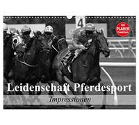 Leidenschaft Pferdesport - Impressionen (Wandkalender 2026 DIN A3 quer), CALVENDO Monatskalender: Mit Freude am Pferdesport durch das Leben