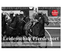 Leidenschaft Pferdesport - Impressionen (Wandkalender 2026 DIN A4 quer), CALVENDO Monatskalender: Mit Freude am Pferdesport durch das Leben