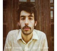LEIF VOLLEBEKK - NORTH AMERICANA [Vinilo]