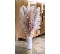 Leisure Life® | 8 x hierba de las Pampas grande 115 cm | rosa/lila natural | Flores secas XXL como punto de atracción en tu apartamento | Flores súper esponjosas | Incluye guía de decoración
