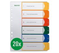 Leitz 19200000 - Archivador de plástico imprimible, 20 unidades, A4, PP, 6 hojas, de colores, 19200000