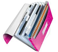 LEITZ 45890023 - Carpeta acordeón WOW PP con 6 separadores más 1 extra ancho DIN A4 color fucsia metalizado