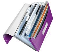 LEITZ 45890062 - Carpeta acordeón WOW PP con 6 separadores más 1 extra ancho DIN A4 color violeta metalizado