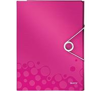 Leitz 46360023 - Carpeta organizadora