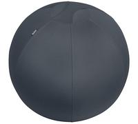 Leitz Balón de Asiento Ergo Cosy Active 65 cm, asa, funda lavable, incluye bomba – Gris terciopelo