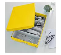 Leitz Caja Organizadora, Gama Click and Store 60580016 - Mediana, Amarillo