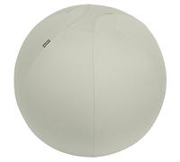 Leitz 65420085 - Balón de Asiento Ergo Active con Tope Antideslizante, Diámetro 65 cm, Asa de Transporte, Incluye Bomba y Tapones, Funda Lavable, Soporta 150 kg, Color Gris