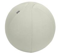 Leitz Balón de Asiento Ergo Active Antideslizante, Diseñado Ergonómicamente como Alternativa a la Silla de Escritorio, 55 cm de Diámetro, Incluye Funda de Tela, Bomba Aire Manual, 2 Tapones, 65410085