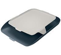 Leitz - Bandeja para cartas y organizador (terciopelo), color gris