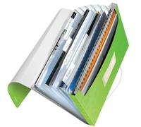 Leitz Carpeta de Proyectos A4, Capacidad para 250 Hojas A4, Cierre Elástico, Plástico Flexible, Verde, Gama WOW, 45890154