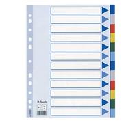 Leitz Esselte 15262 - Lengüeta de índice (polipropileno, A4, simple), multicolor