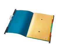 Leitz ESSELTE 18900135 - Carpetas colgantes Divide-It-Up visor rígido transparente lomo V DIN A4 color azul