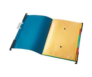 Leitz ESSELTE 18900135 - Carpetas colgantes Divide-It-Up visor rígido transparente lomo V DIN A4 color azul